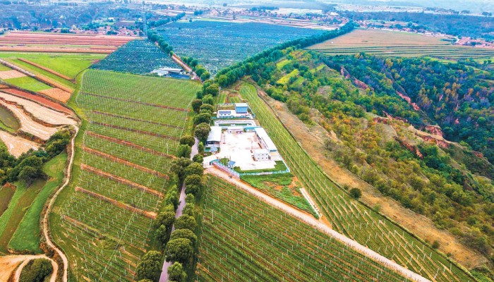 乘風(fēng)破浪會(huì)有時(shí) 策馬揚(yáng)鞭再奮蹄——甘肅建投生態(tài)公司拓市場(chǎng)、強(qiáng)管理、謀發(fā)展紀(jì)實(shí)